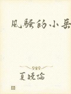 风骚的小岳母