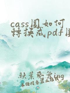 cass图如何转换成pdf图