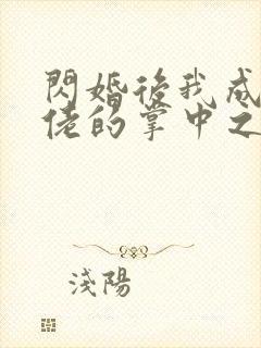 闪婚后我成了大佬的掌中之物短剧免费观看