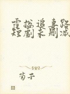 霍总追妻路漫漫短剧未删减
