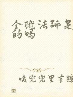 全职法师是乱写的吗