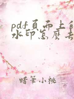 pdf页面上的水印怎么去除