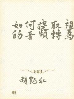 如何提取视频中的音频转为文字