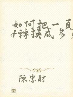 如何把一页pdf转换成多页