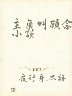 主角叫顾念念的小说