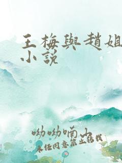 王梅与赵姐陪读小说