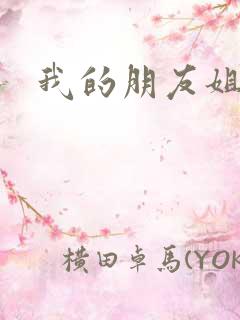 我的朋友姐姐2