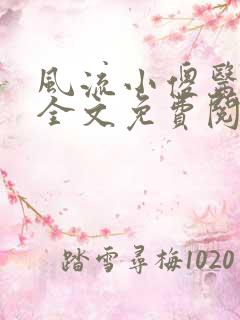 风流小傻医小说全文免费阅读