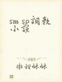 sm sp调教小说