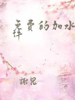 免费的加水印软件