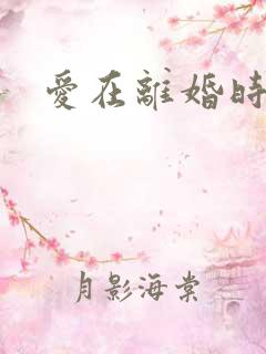 爱在离婚时全集