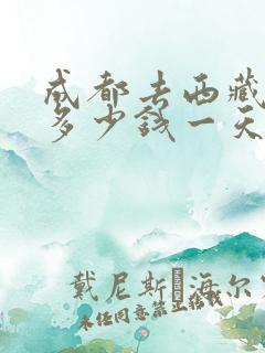 成都去西藏租车多少钱一天