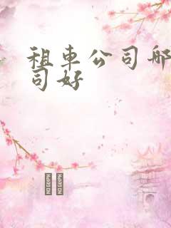 租车公司哪个公司好