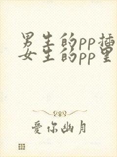 男生的pp插进女生的pp里