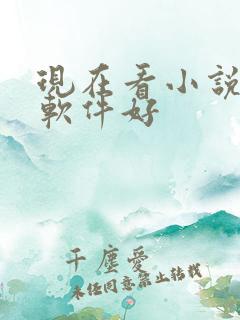 现在看小说哪个软件好