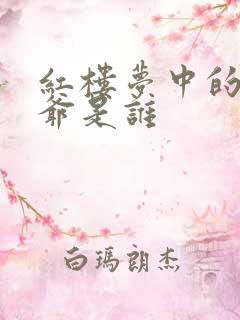 红楼梦中的大老爷是谁