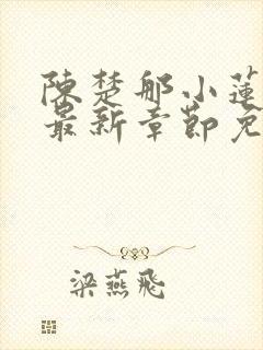 陈楚那小莲小说最新章节免费阅读