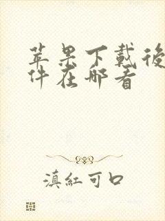 苹果下载后的文件在哪看