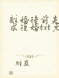 离婚后前夫哭着求复婚txt免费下载