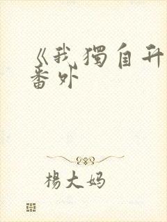 《我独自升级》番外