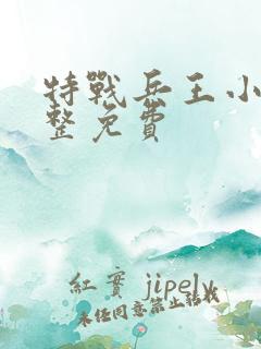 特战兵王小说完整免费