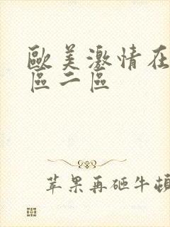 欧美激情在线一区二区