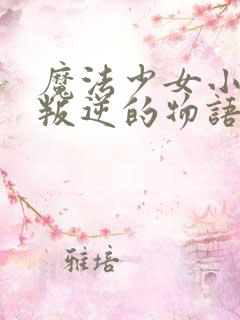 魔法少女小圆 叛逆的物语