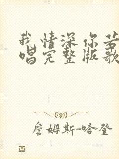 我情深你若懂原唱完整版歌词