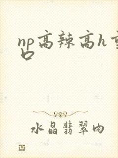 np高辣高h重口