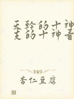 天干的十神和地支的十神看哪个
