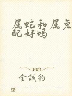 属蛇和属兔的婚配好吗