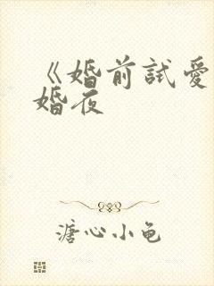 《婚前试爱》新婚夜