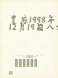 农历1998年12月19日八字