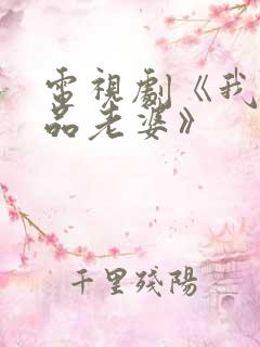 电视剧《我的极品老婆》
