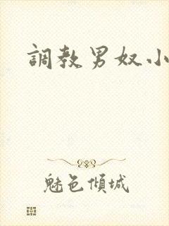 调教男奴小说h