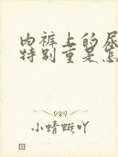 内裤上的尿骚味特别重是怎么回事