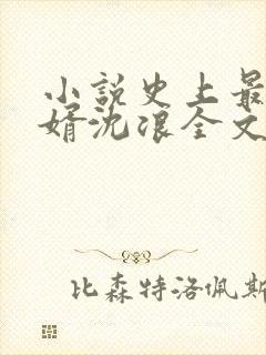 小说史上最强赘婿沈浪全文阅读
