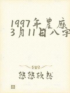 1997年农历3月11日八字女