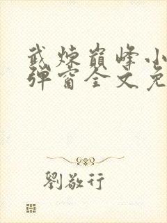 武炼巅峰小说无弹窗全文免费阅读