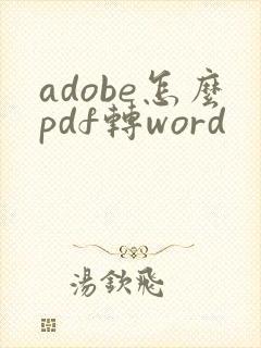 adobe怎么pdf转word