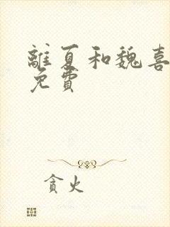 离夏和魏喜小说免费