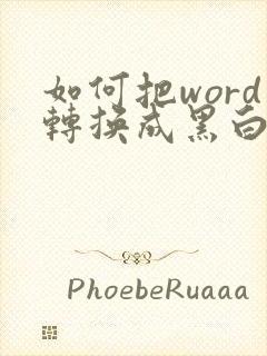 如何把word转换成黑白的pdf