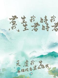君生我时我未生,我生君时君已老