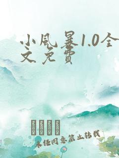 小风暴1.0全文免费