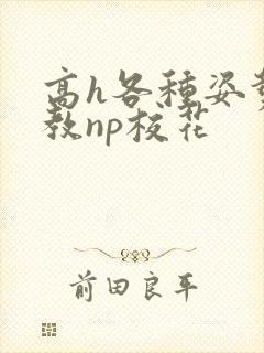 高h各种姿势调教np校花