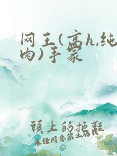 网王(高h,纯肉)手冢