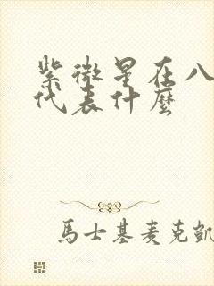 紫微星在八字中代表什么