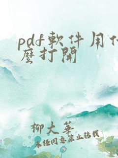 pdf软件用什么打开