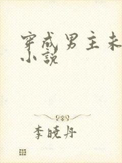 穿成男主未婚妻小说