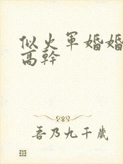 似火军婚婚恋他高干